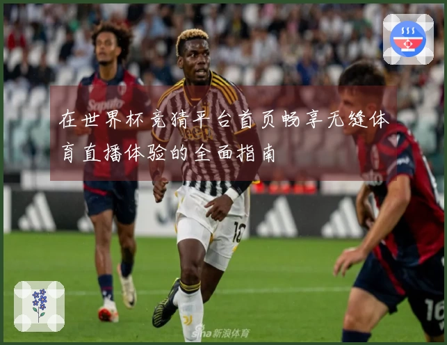 在世界杯竞猜平台首页畅享无缝体育直播体验的全面指南