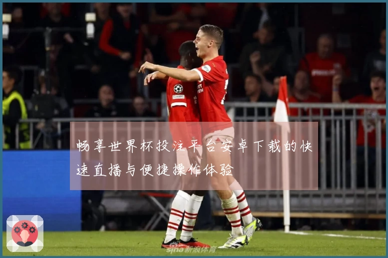 畅享世界杯投注平台安卓下载的快速直播与便捷操作体验